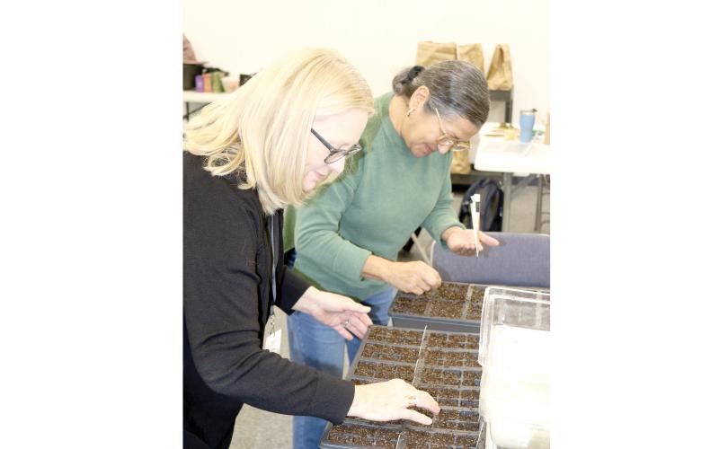 Master gardeners Terri Andrews (left) and Mayra Ramirez Rodriguez and plant seeds in January as they prepare for this month’s plant sale. (TONY BRITT/Lake City Reporter)